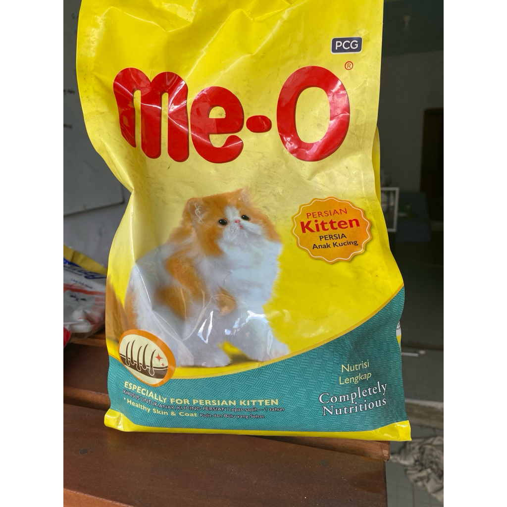 Meo persian kitten