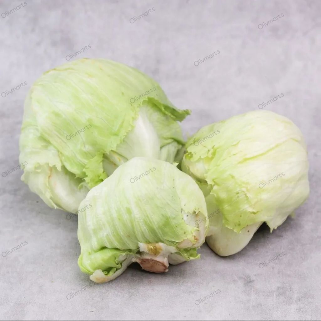 Lettuce Iceberg Fresh Premium