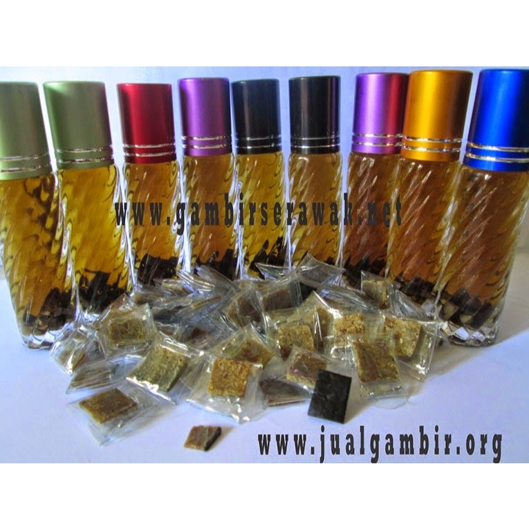 gambir serawak asli ori