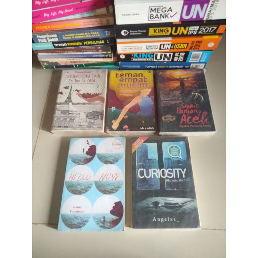 Buku Novel, SEGENGGAM DAUN di TEPI LA SIENE, TEMAN EMPAT MUSIM, SYAIR PANJANG ACEH, HELLO NOW, CURIO