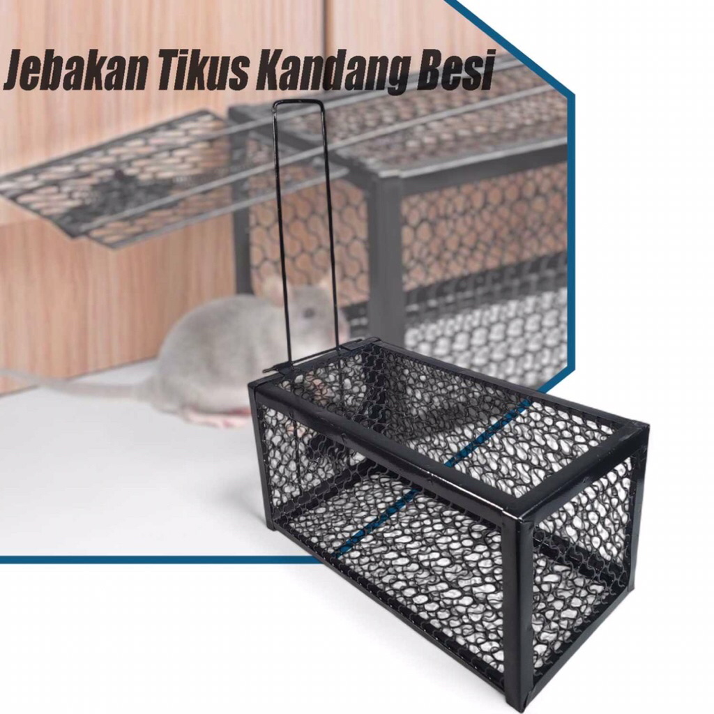 Jebakan Tikus Otomatis Bait - Kandang Besi, Tanpa Menyiksa