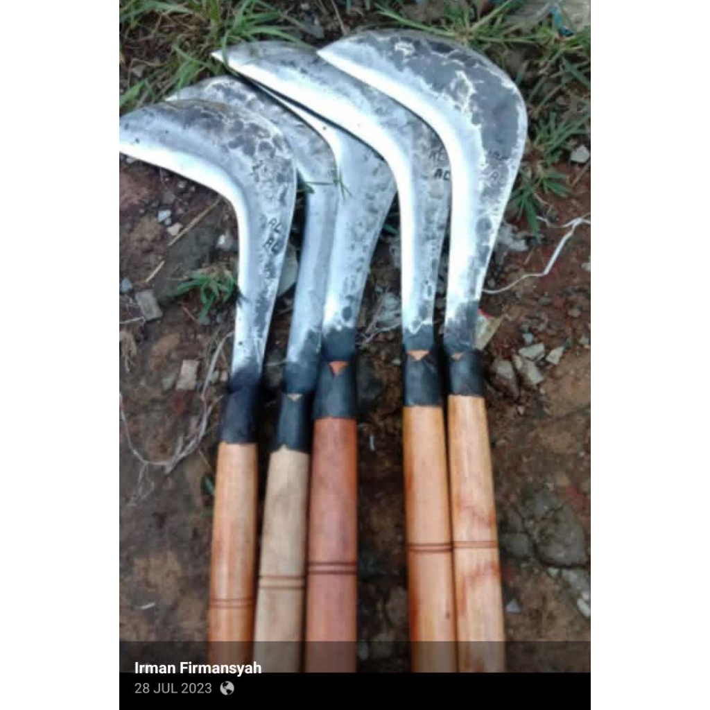 Sabit Arit Pengaritan Baja Gergaji Slendang