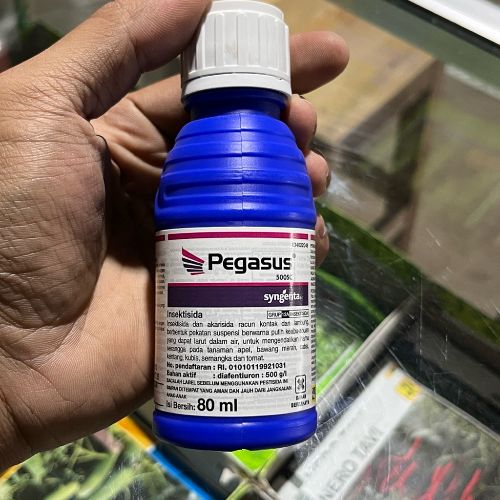 insektisida pegasus untuk hama kutu kebul