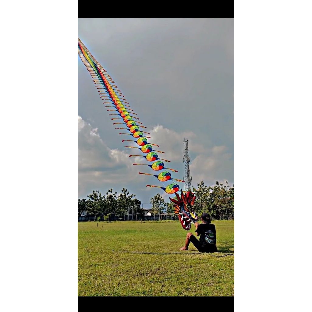 layangan naga pelangi dm 40