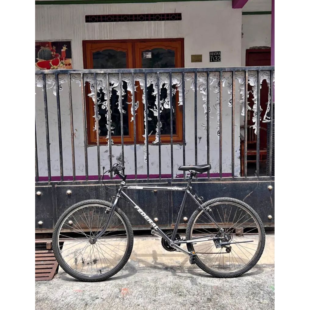 sepedah federal size 19,5