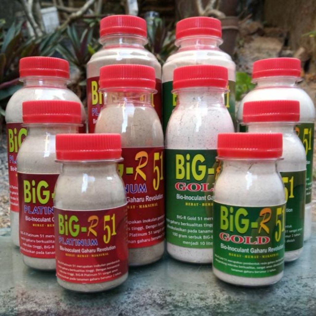 BiG-R Gold 51 - Serum Pembentuk Gubal Gaharu Super