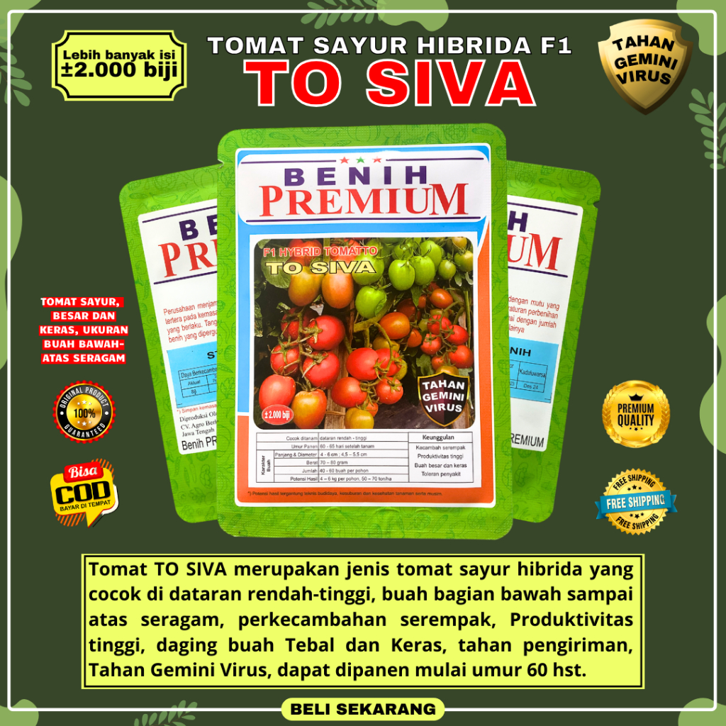 Lebih murah 5 Bungkus Benih Bibit Tomat Sayur Hibrida TO SIVA F1 100% Original Benih Premium