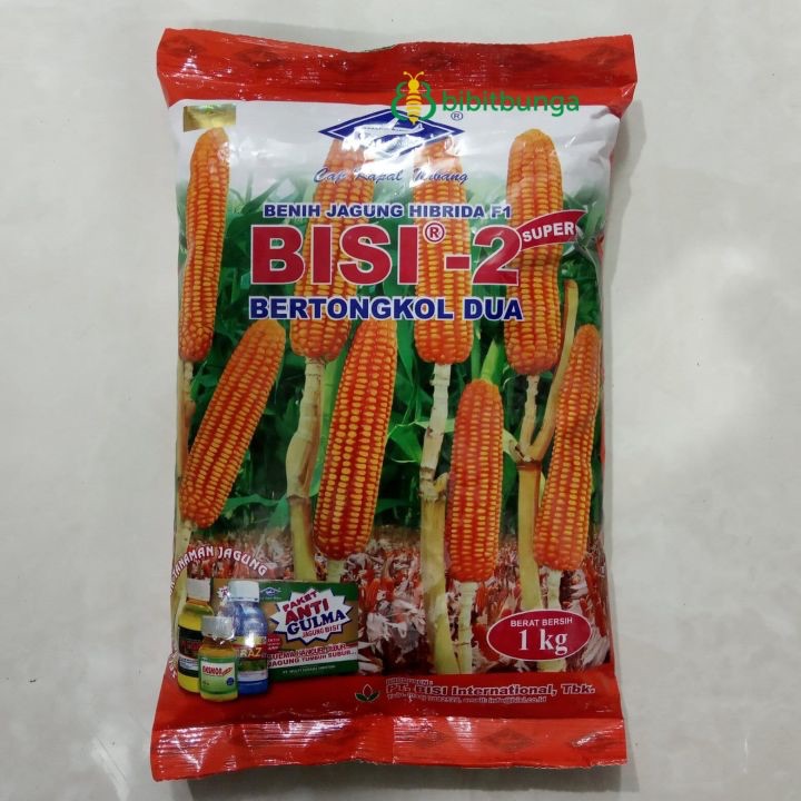 Bibit Jagung BISI 2 Original - Unggul, Tahan Penyakit, Hemat Benih