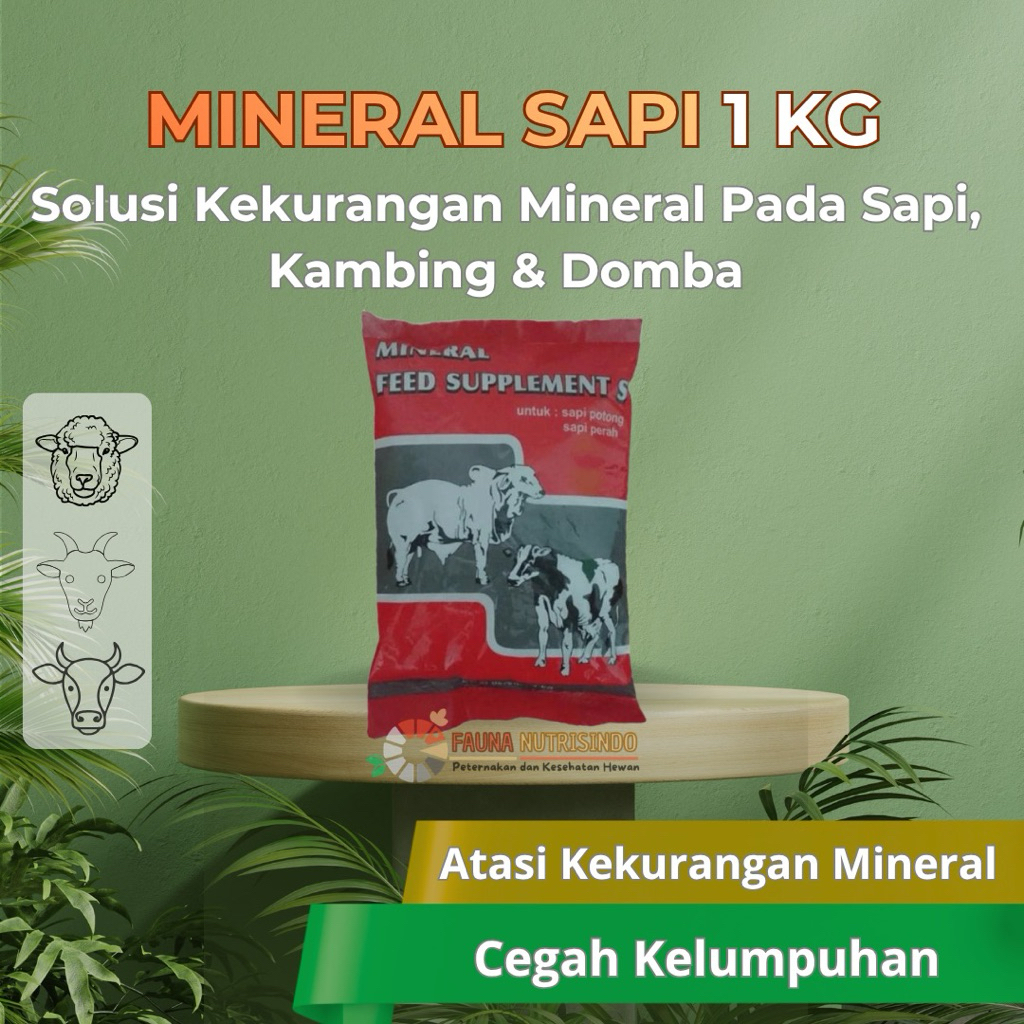 Mineral Sapi 1 KG- Suplemen Sapi Mencegah dan Mengobati Lumpuh-MEDION