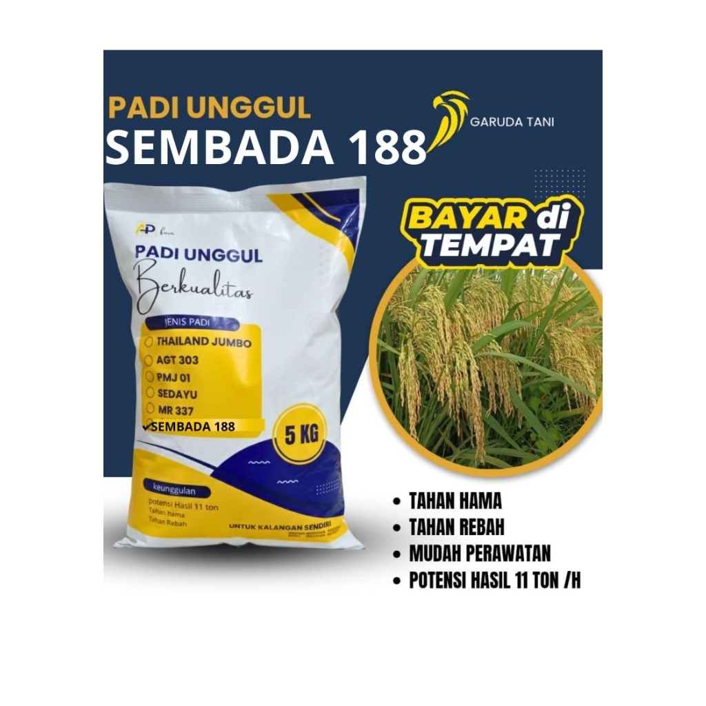 BENIH PADI SEMBADA 168-SEMBADA 188 KEMASAN 5KG ORIGINAL