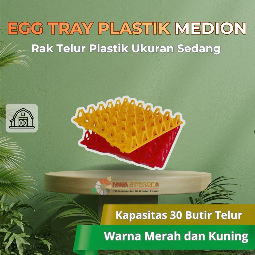 Egg Tray / Tatakan Telur Sedang Plastik - MEDION