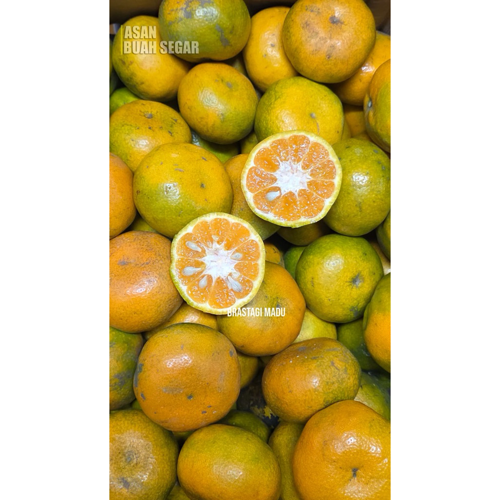 JERUK MEDAN / JERUK BRASTSGI MADU JERUK LOKAL FRESH QUALITY MANIS & JUICY