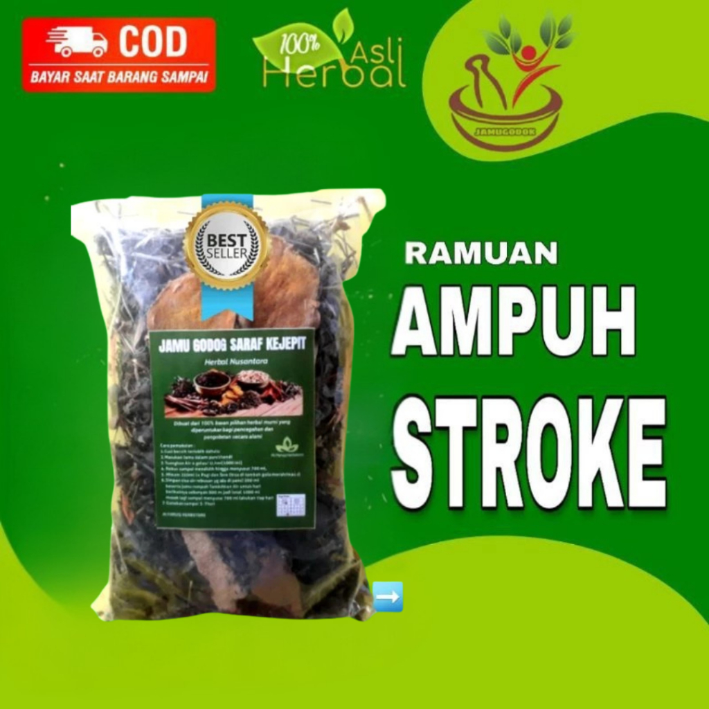 Obat Stroke Ringan Berat Jamu Stroke Ringan Stroke Obat Pasca Stroke