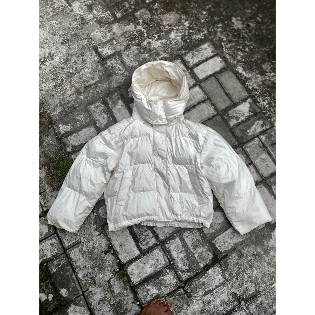 Puffer Moussy