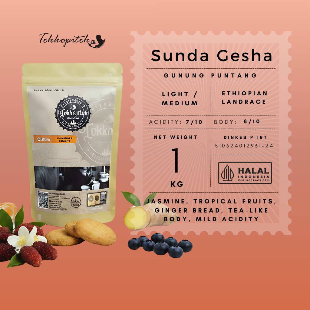 Tokkopitok 1000 gram Roasted Bean kopi Arabica puntang Sunda Geisha