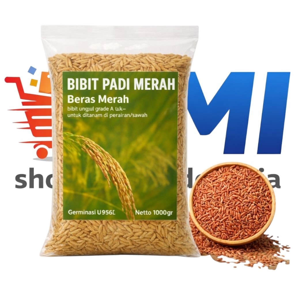 Bibit Padi Gogo Beras Merah Perairan - Padi Impor Unggul Kota Malasya 500 Gr