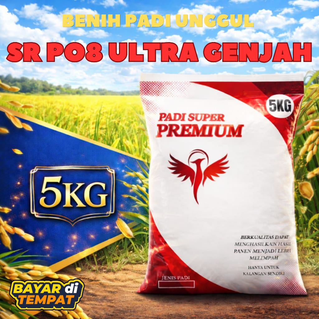 benih padi unggul sr p08 ultra genjah kemasan 5kg Original
