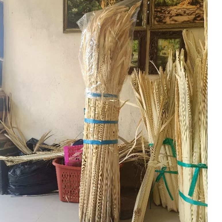 busung ibung jumbo harga untuk 1 gabung isi 50 muncuk, barang baru langsung dari pencelup , bahan su
