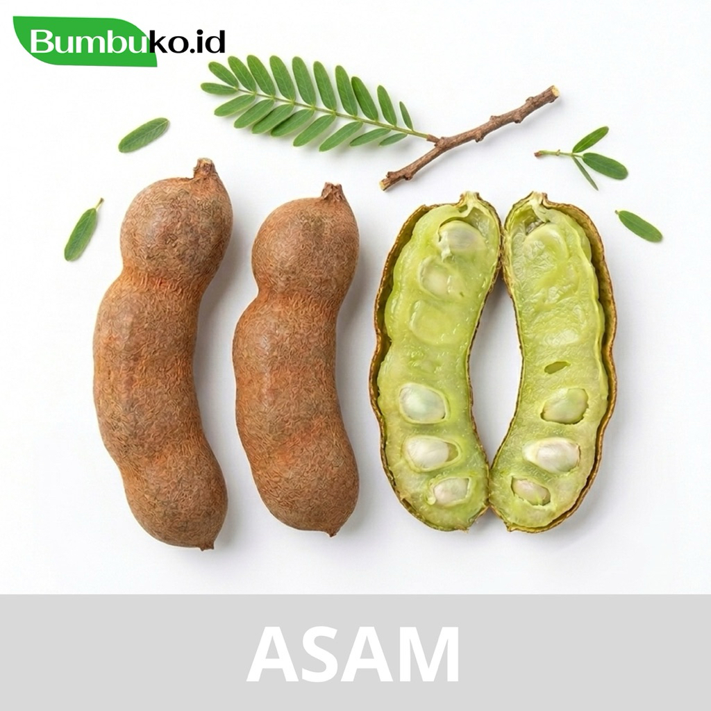 Asam Jawa Mentah 1kg
