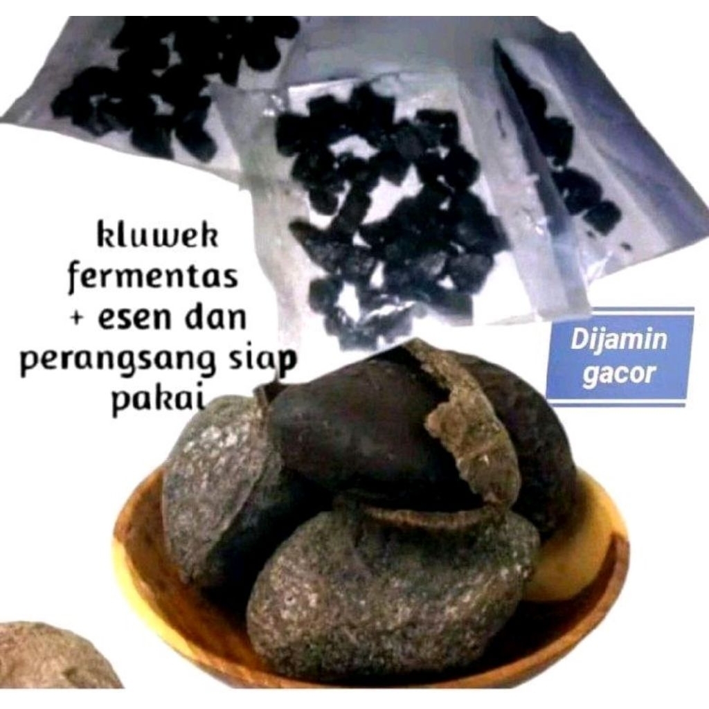 umpan bawal KLUWEK fermentasi siap pakai ukuran 100g cocok buat sehari-hari
