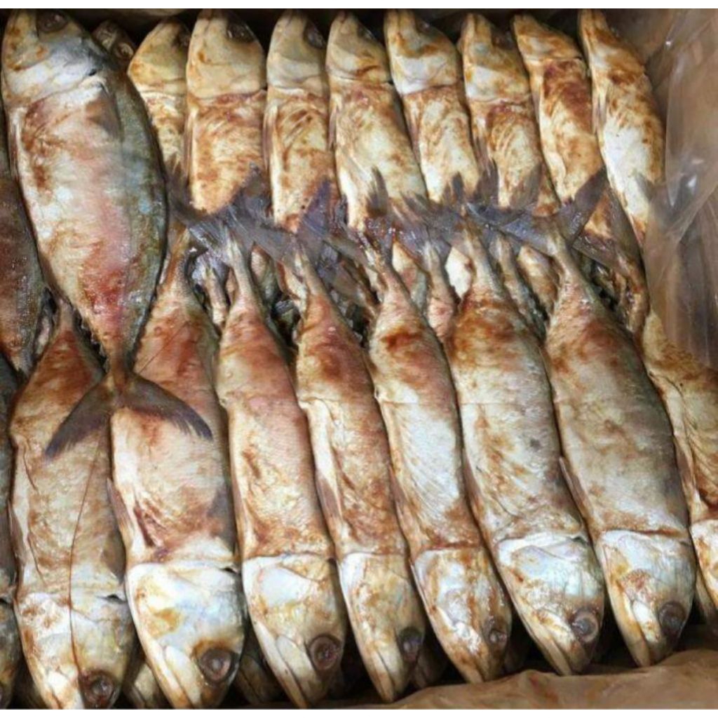 ikan asin peda merah jumbo kemasan vacum
