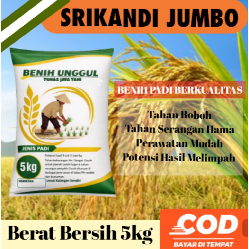 BIBIT / BENIH PADI UNGGUL SRIKANDI JUMBO kemasan 5kg