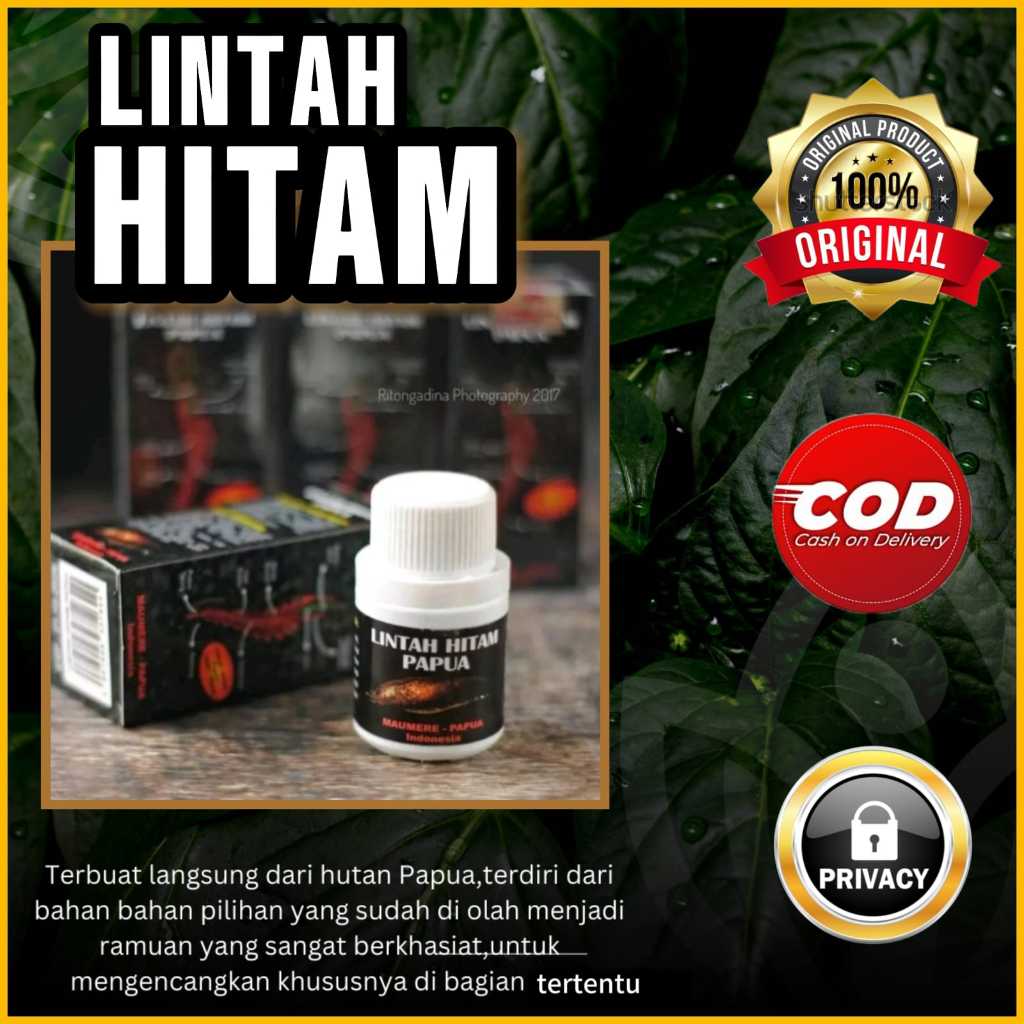 MINYAK HERBAL ALAMI LINTAH HITAM PAPUA ORIGINAL ASLI Obat-obatan & Alat Kesehatan > Obat Tradisional