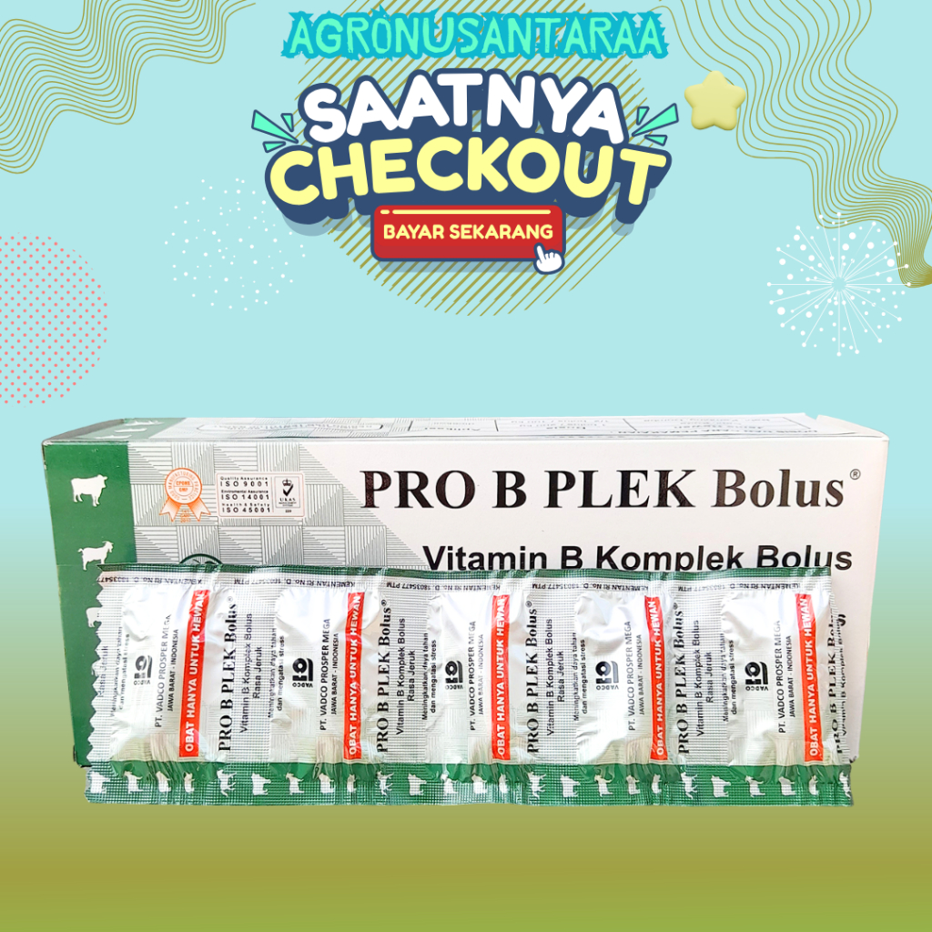 PRO B PLEX 5 BOLUS (1 BLISTER) - Vitamin B Komplek Untuk Hewan