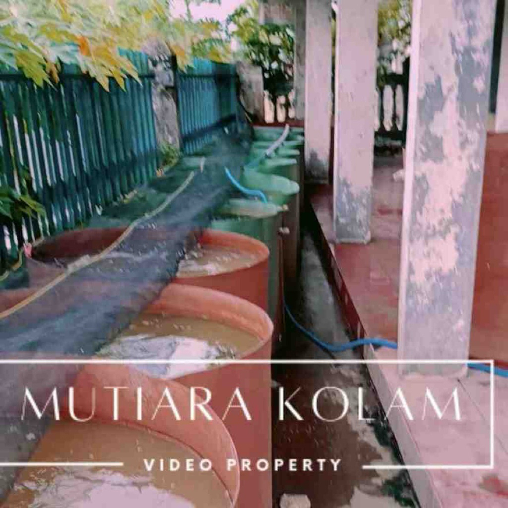 kolam karet pvc super kuat, anti karat tahan sinar ultraviolet untuk ikan koi untuk ikan lele dan ta