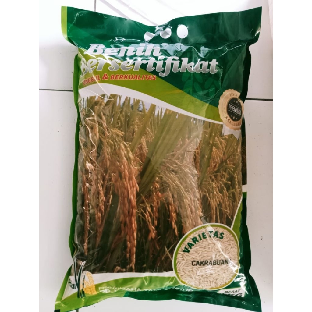 Benih padi cakrabuana premium jumbo 5 kg