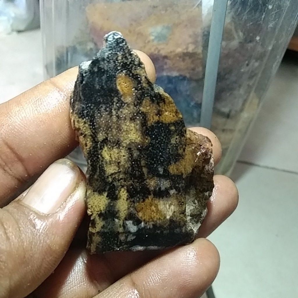 BATU FOSIL GALIH ASEM MULTICOLOR