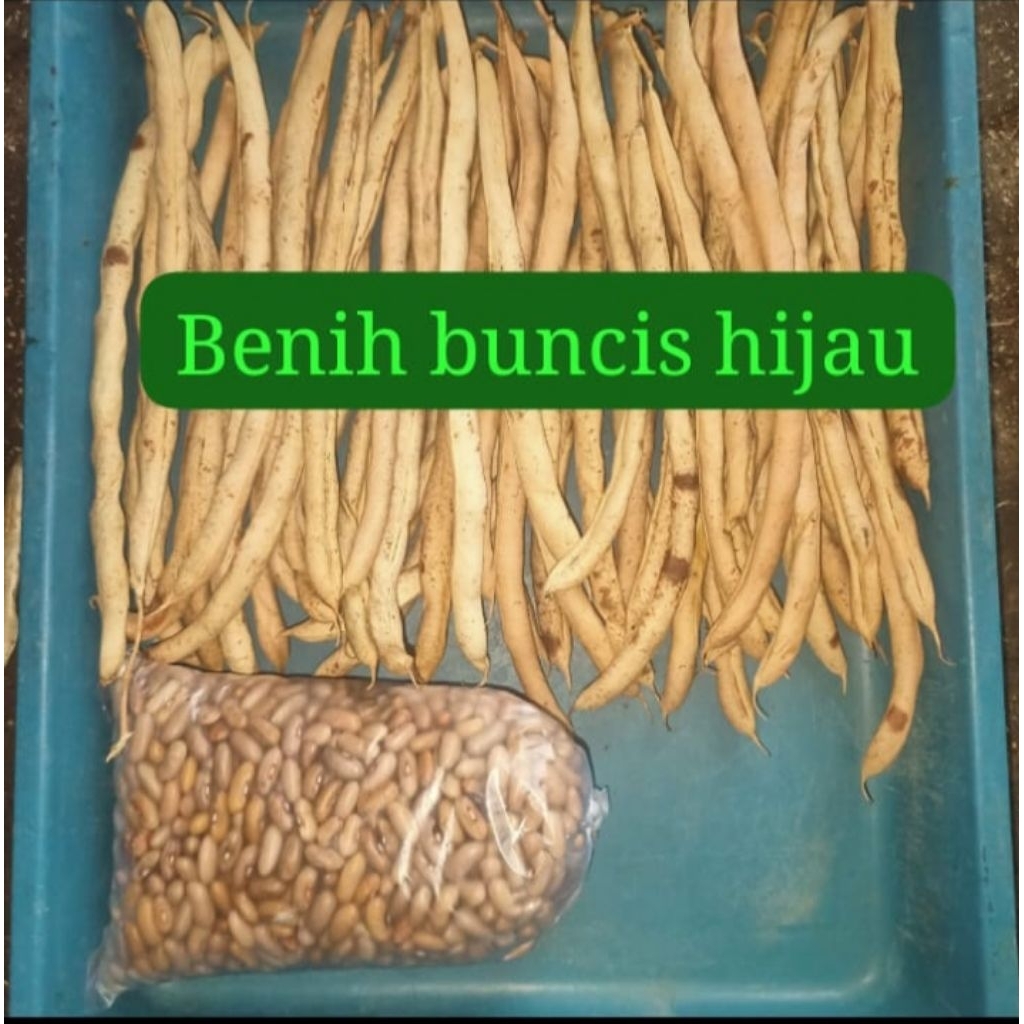 Buncis hijau Tresna xl 500gr