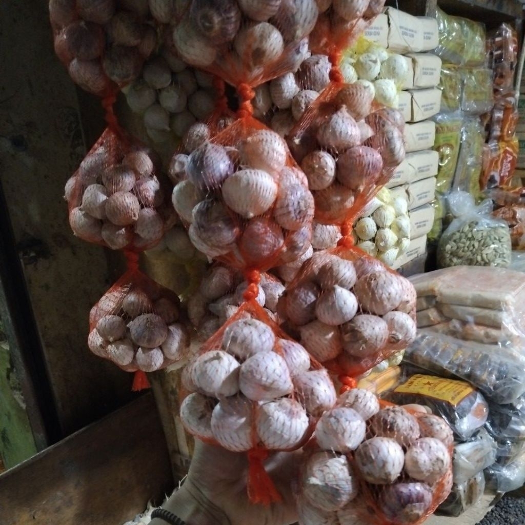 Bawang Putih Tunggal 1kg