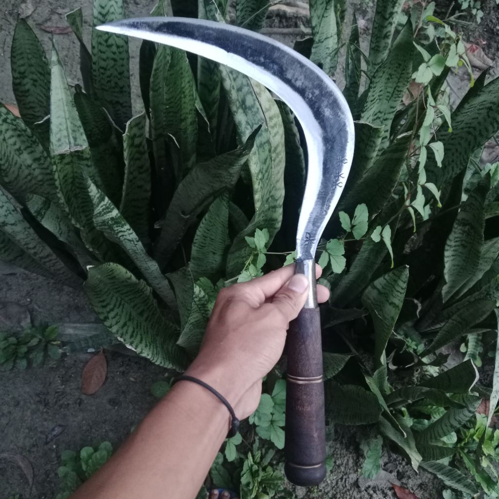 sabit ranting rumput