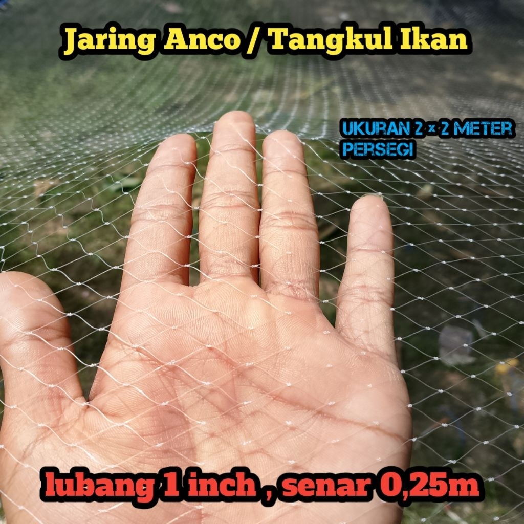 Anco/Tangkul ikan 2 × 2 meter lubang 1 inch senar 0, 25m tebal,jaring perangkap,jaring waring,Anco i
