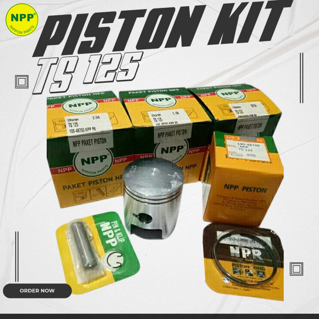 NPP PISTON KIT SEHER SET TS 125