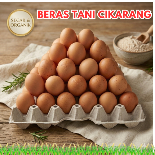 (Cikarang-Bekasi Raya) Telur Ayam Negeri Omega 3 1 kilo Grade A