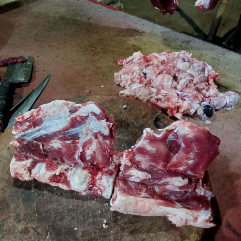 Tulang punggung Sapi Lokal Fresh