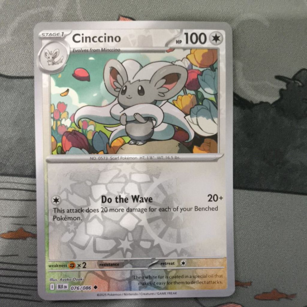 cinccino 76/086 holo bbwf