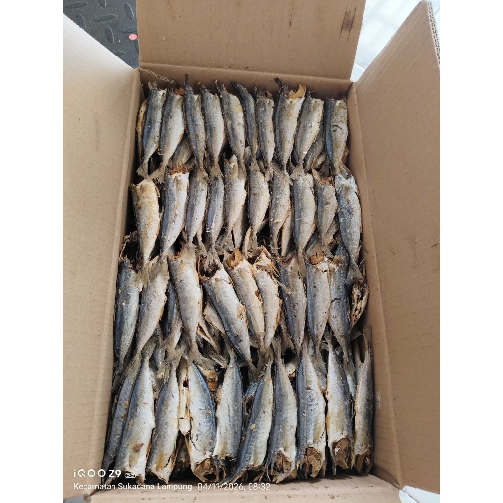 Ikan asin rebus layang glowing khas lampung tanpa kepala kering bersih 1kg
