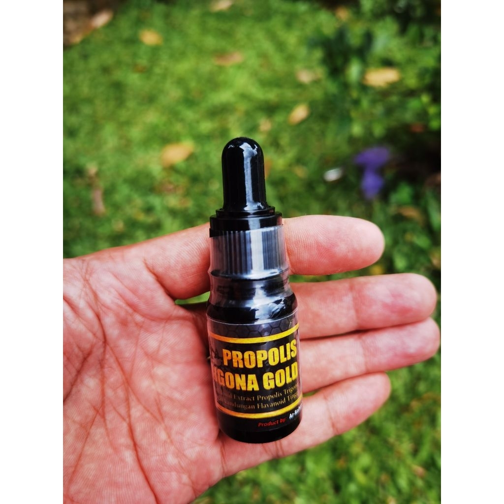 Propolis Trigona Gold