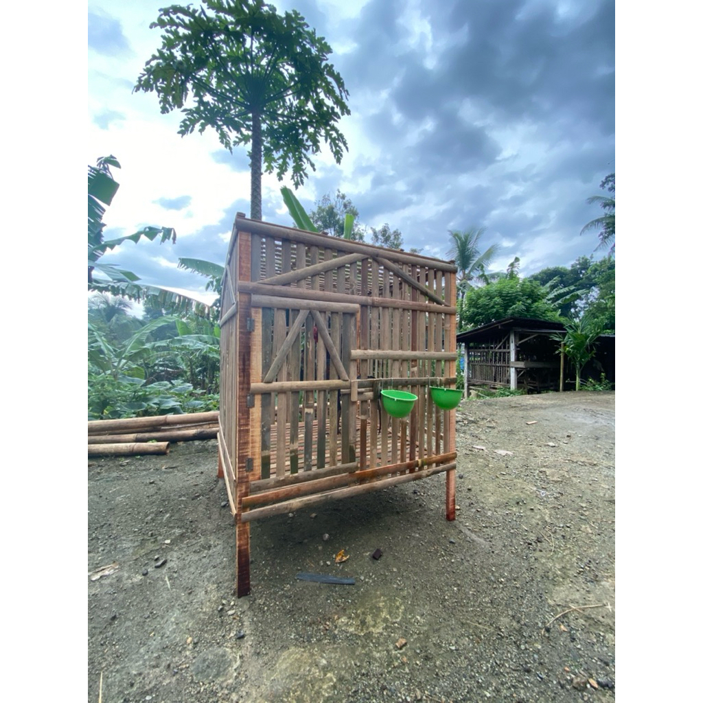 kandang bambu uk. 80x80cm untuk ayam jago/ ayam pelung