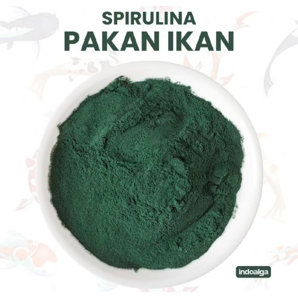Spiruganik+ Powder Organic REPACK Spirulina Powder Plus Food Grade