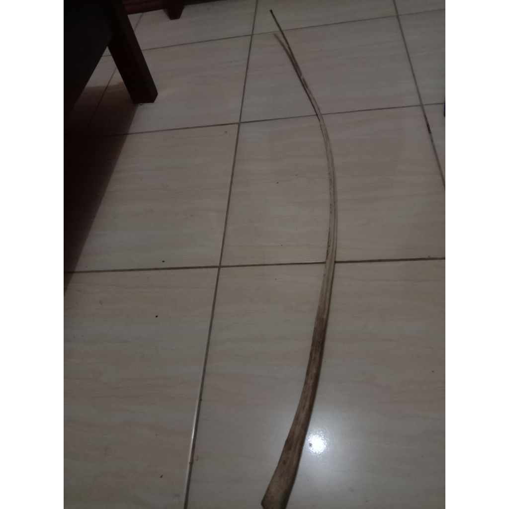 pari ekor ikan