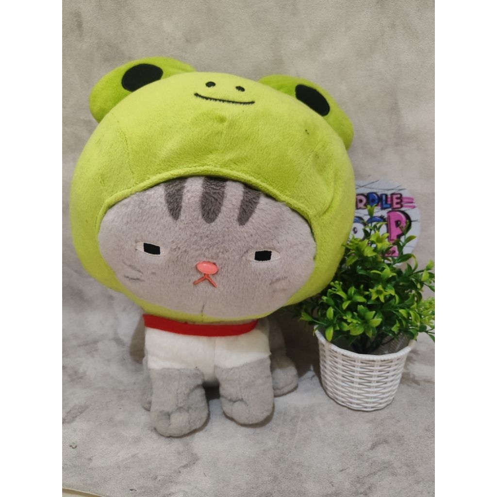 Boneka Kucing Jumbo Amuse