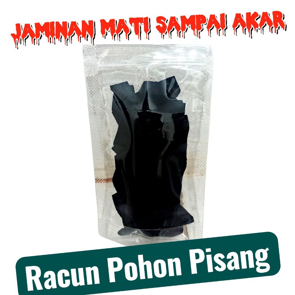 RACUN KAPAS, Pisang Liar Tumbang, Ampuh