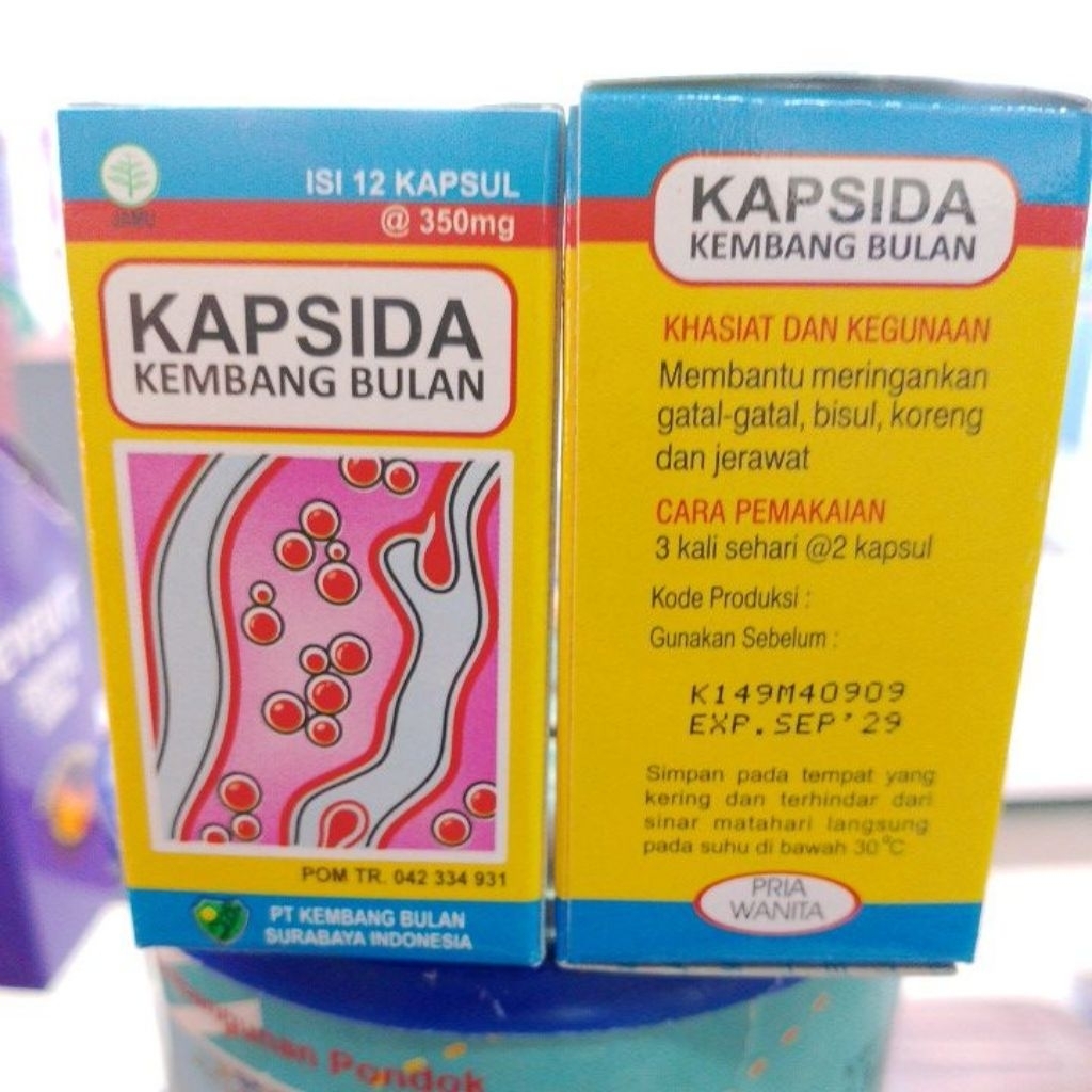Kapsida