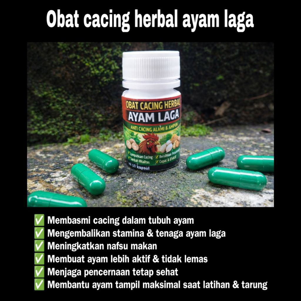 Obat Cacing Ayam Laga Herbal Kapsul Ampuh Anti Cacing Ayam Bangkok Nafsu Makan Stamina Kuat