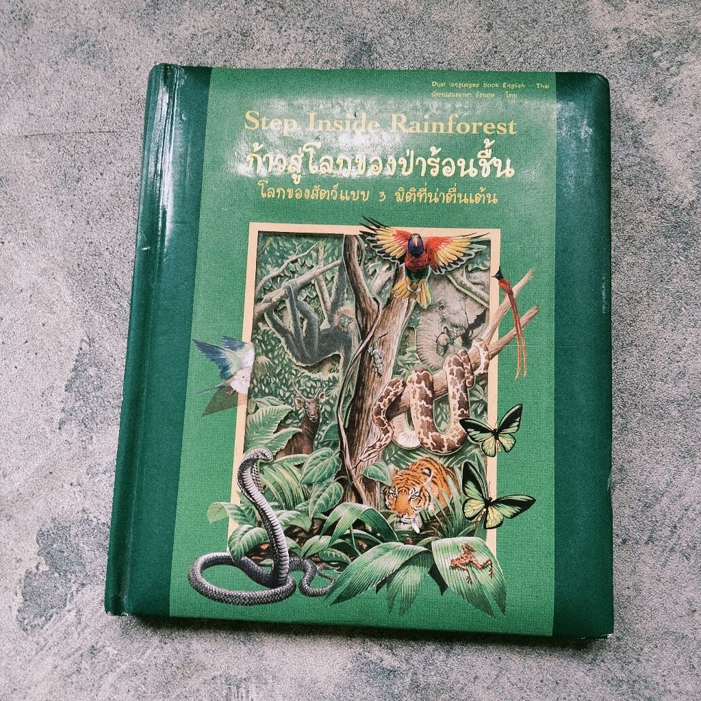 buku pop up Step Inside RainForest, buku anak pop up
