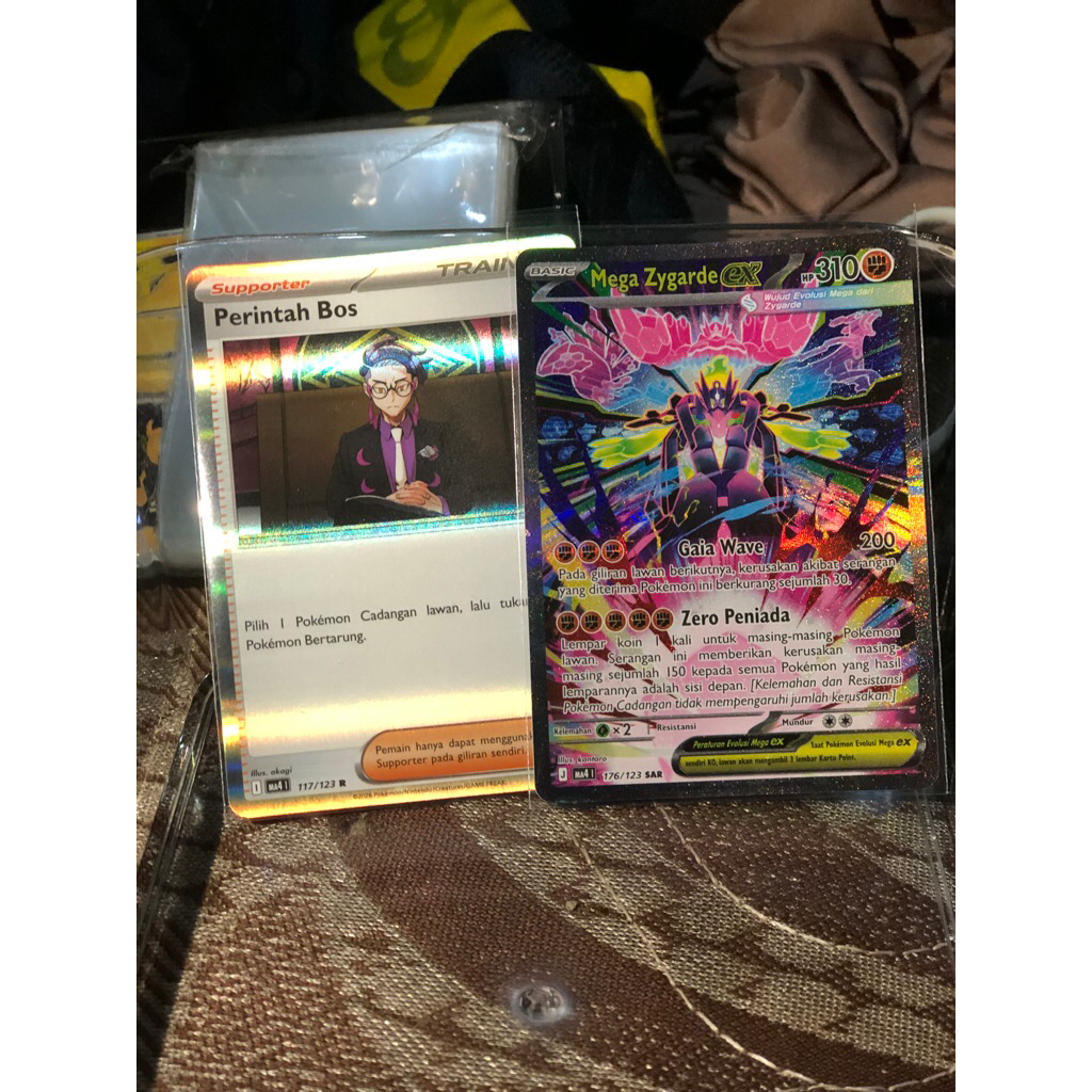Pokemon MEGA ZYGARDE SAR
